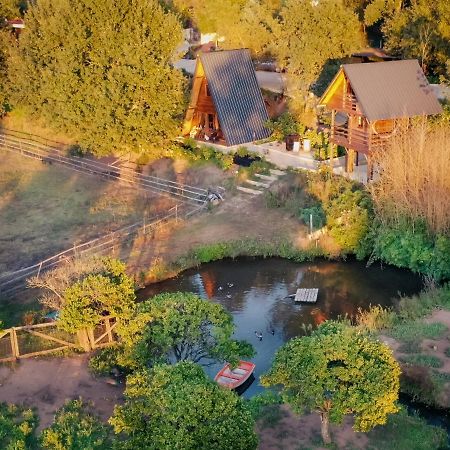 Casa Da Avo - Vale Da Silva Villas Albergaria-a-Velha Buitenkant foto