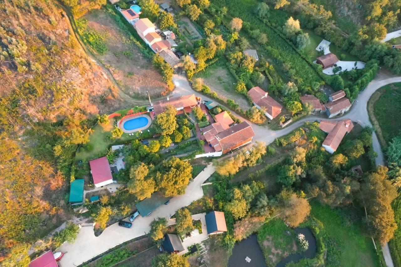 Casa Da Avo - Vale Da Silva Villas Albergaria-a-Velha Buitenkant foto