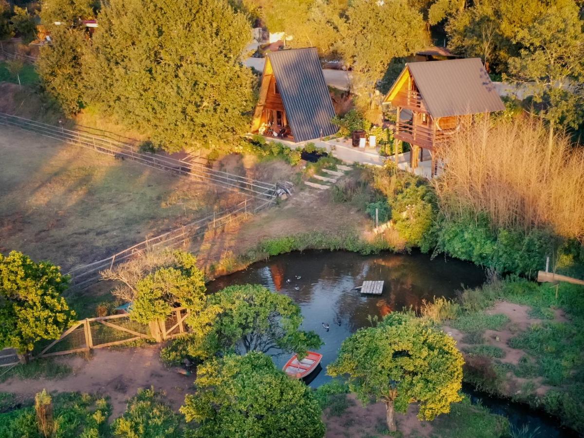 Casa Da Avo - Vale Da Silva Villas Albergaria-a-Velha Buitenkant foto