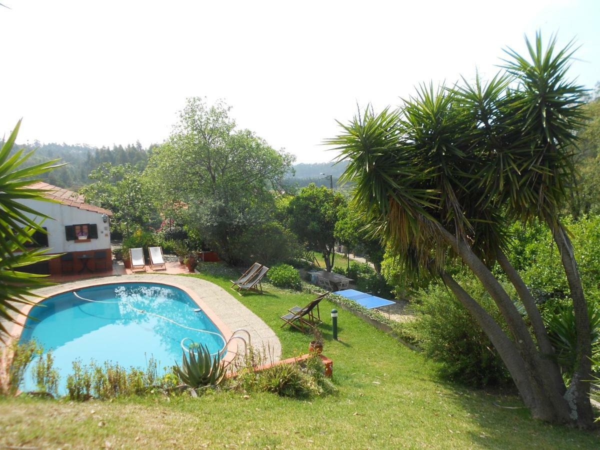 Casa Da Avo - Vale Da Silva Villas Albergaria-a-Velha Buitenkant foto