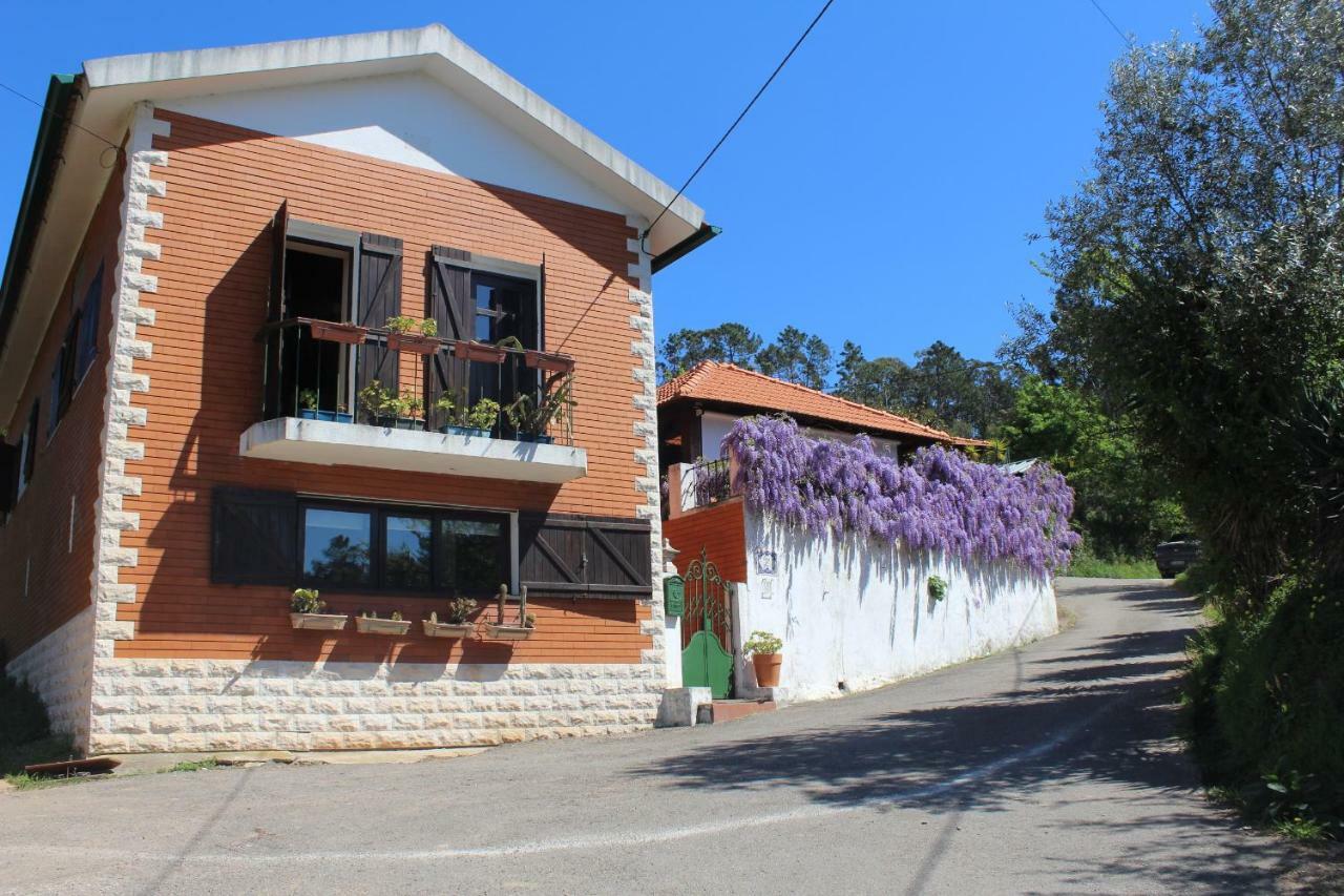 Casa Da Avo - Vale Da Silva Villas Albergaria-a-Velha Buitenkant foto