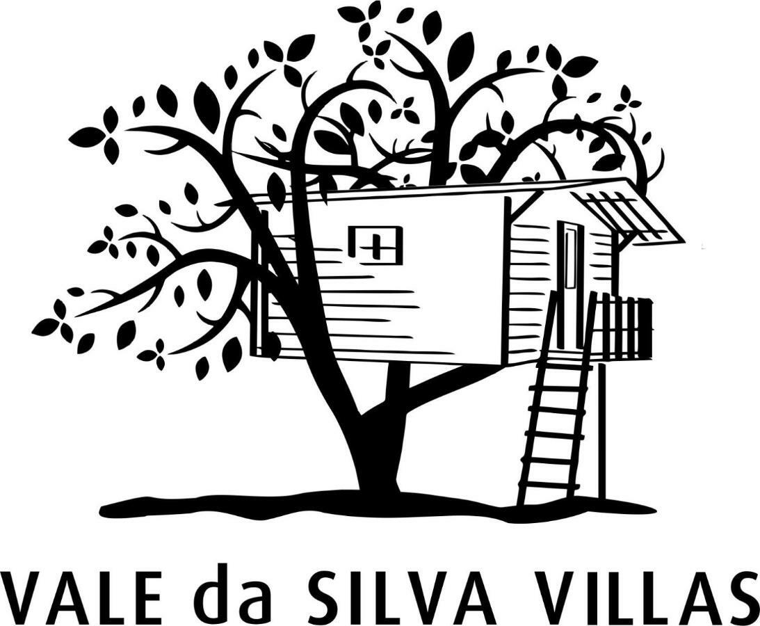 Casa Da Avo - Vale Da Silva Villas Albergaria-a-Velha Buitenkant foto